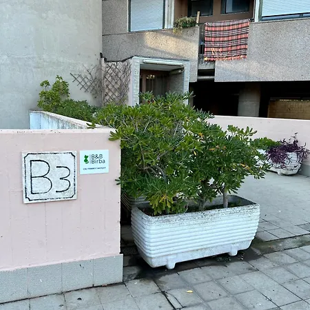 B&B Birba